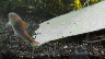 aqua27.jpg (29099 Byte)