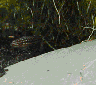 wpe7.jpg (10290 Byte)
