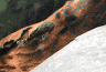 wpe8.jpg (13195 Byte)