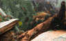 wpe9.jpg (18302 Byte)