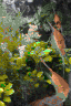 aqua36.jpg (28126 Byte)