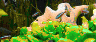 aqua37.jpg (24352 Byte)