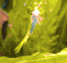 aqua43.jpg (22781 Byte)