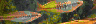 aqua55.jpg (6906 Byte)