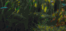 aqua69.jpg (12317 Byte)