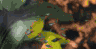 aqua71.jpg (10800 Byte)