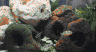Aqua_3.jpg (24399 Byte)