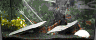 wpe2.jpg (18220 Byte)