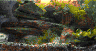 aqua_5.jpg (30979 Byte)
