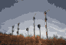 jb005.jpg (7318 Byte)