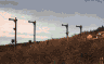 jb013.jpg (6742 Byte)