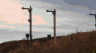 jb014.jpg (6166 Byte)