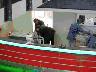 cineplex43.jpg (7990 Byte)